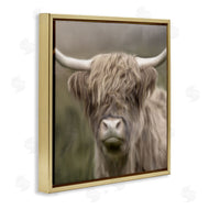 Kim Allen | Soft Highland Cow