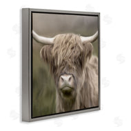 Kim Allen | Soft Highland Cow