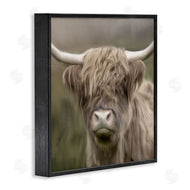 Kim Allen | Soft Highland Cow