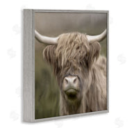 Kim Allen | Soft Highland Cow