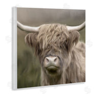 Kim Allen | Soft Highland Cow