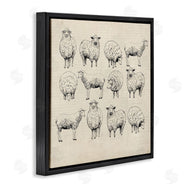 Karen Smith | Vintage Sheep Drawings