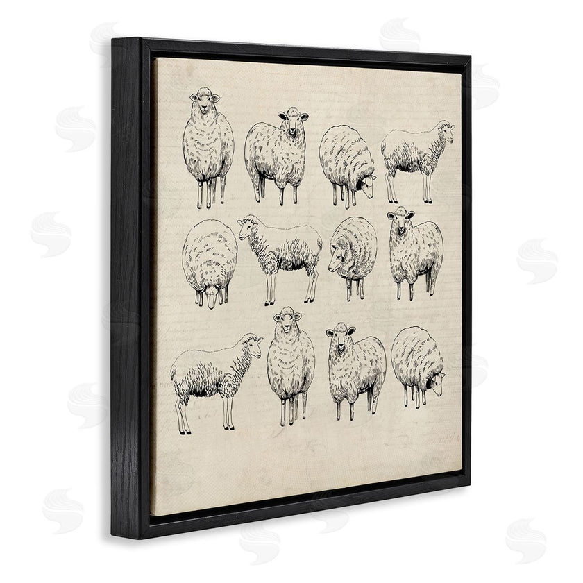 Karen Smith | Vintage Sheep Drawings