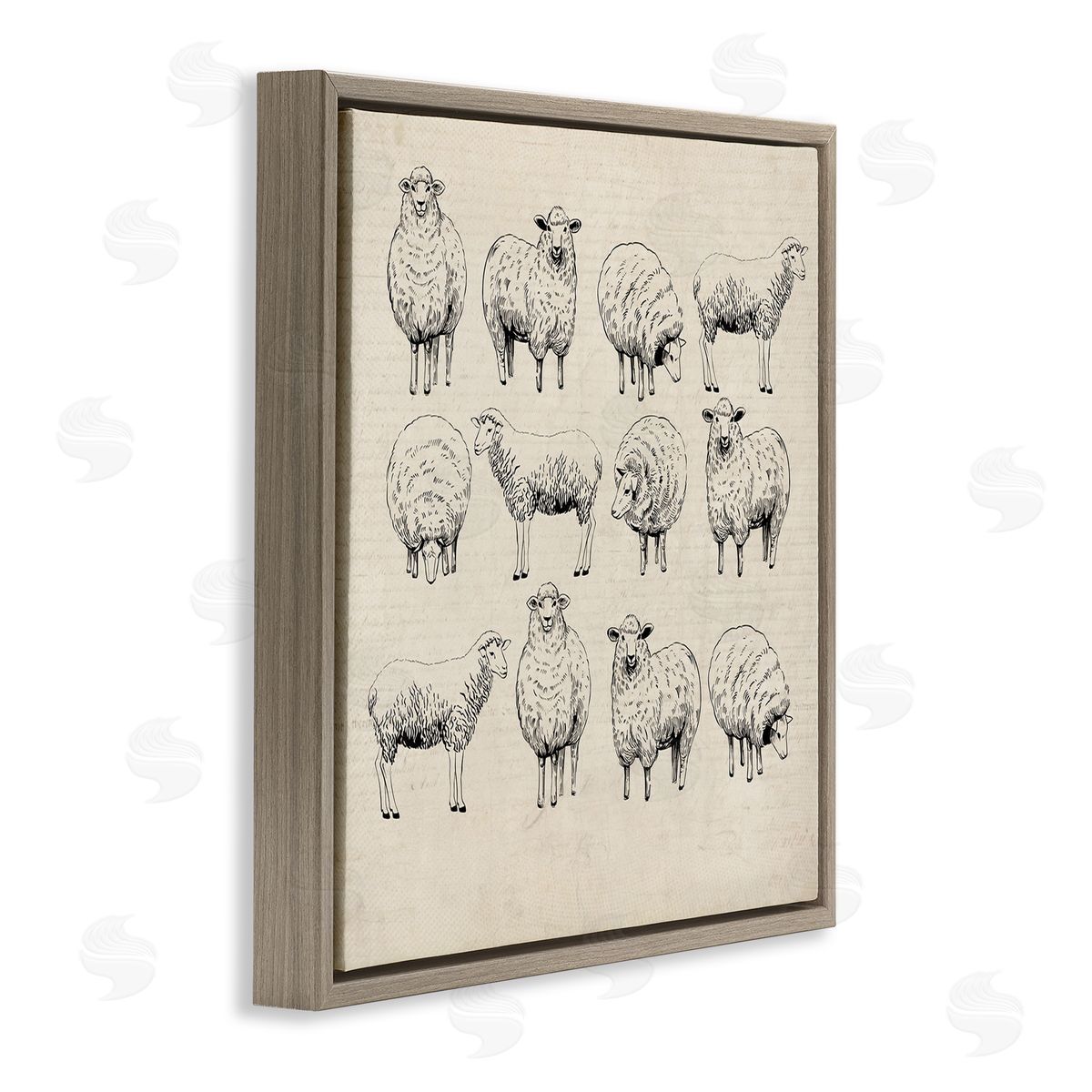 Karen Smith | Vintage Sheep Drawings