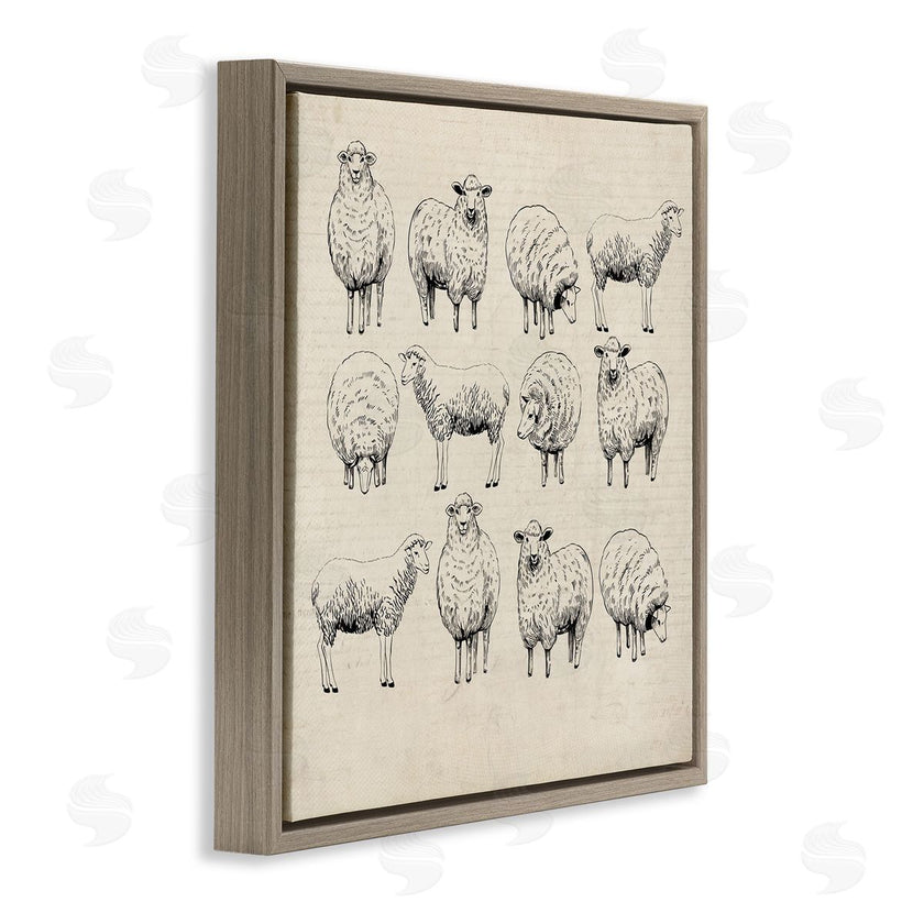 Karen Smith | Vintage Sheep Drawings