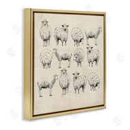 Karen Smith | Vintage Sheep Drawings