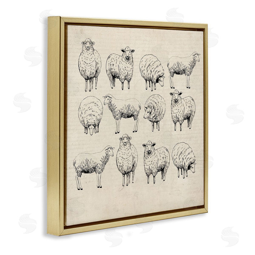 Karen Smith | Vintage Sheep Drawings