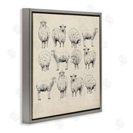 Karen Smith | Vintage Sheep Drawings