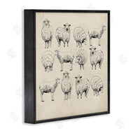 Karen Smith | Vintage Sheep Drawings