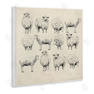 Karen Smith | Vintage Sheep Drawings