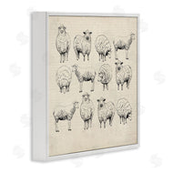 Karen Smith | Vintage Sheep Drawings