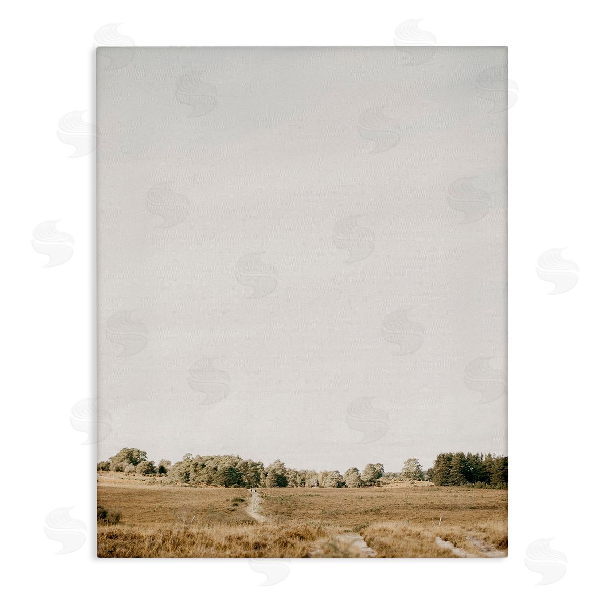 Leah Straatsma Country Sky Photography Canvas Wall Art