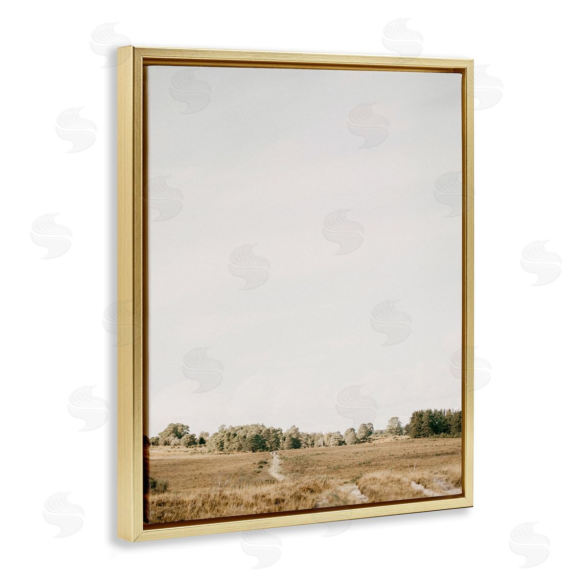 Leah Straatsma Country Sky Photography Gold Floater Frame Canvas Artside_
