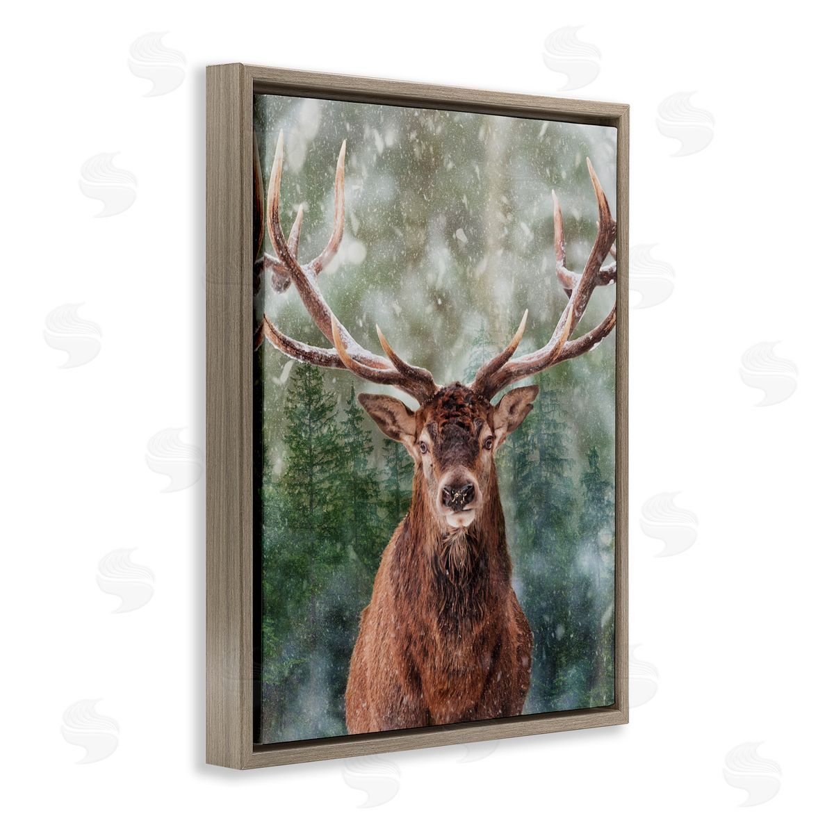 Marcus Prime | Woodland Forest Deer