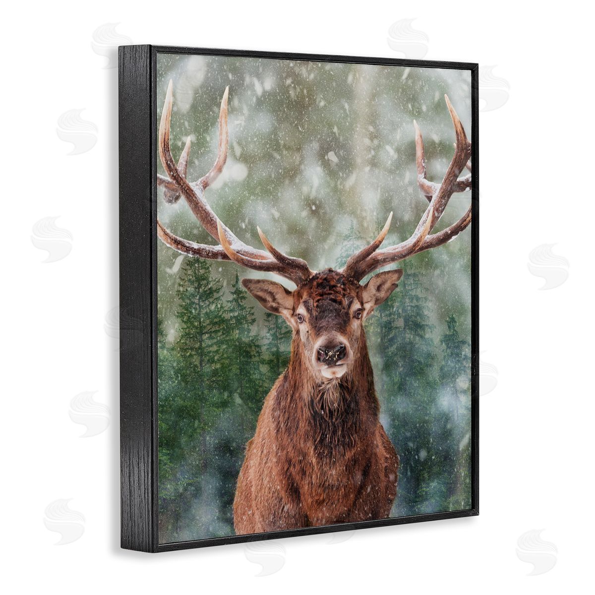 Marcus Prime | Woodland Forest Deer