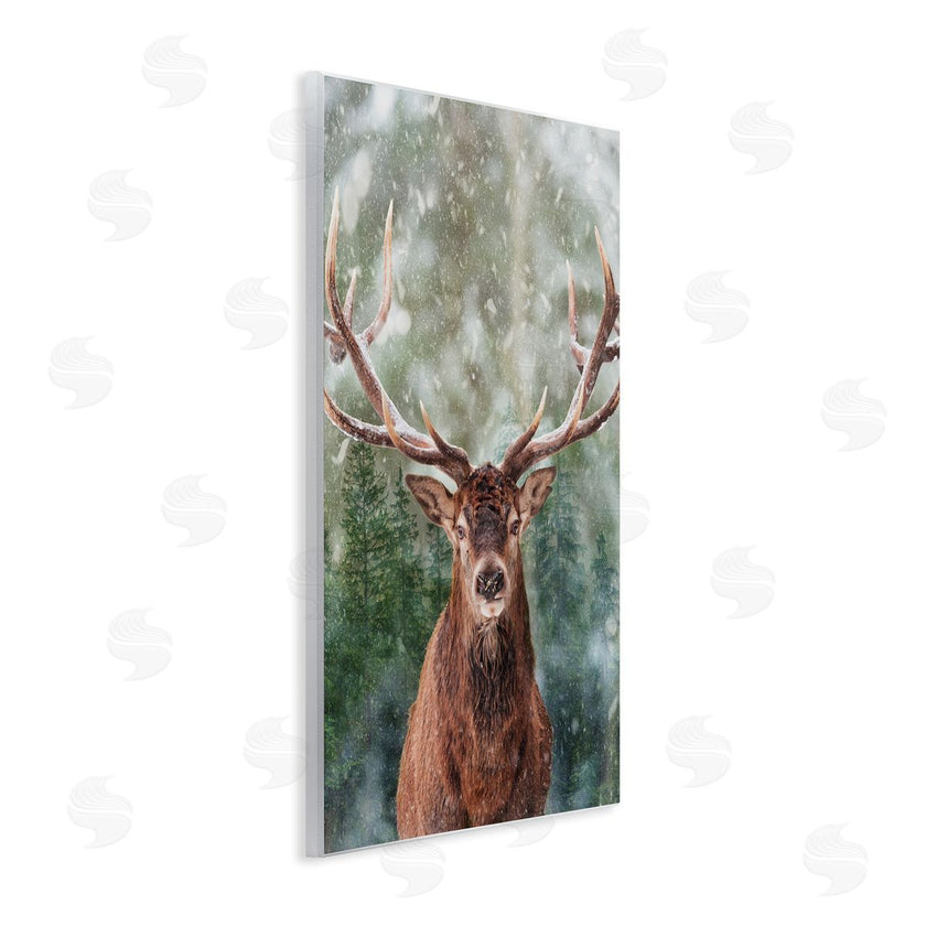 Marcus Prime | Woodland Forest Deer