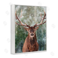 Marcus Prime | Woodland Forest Deer