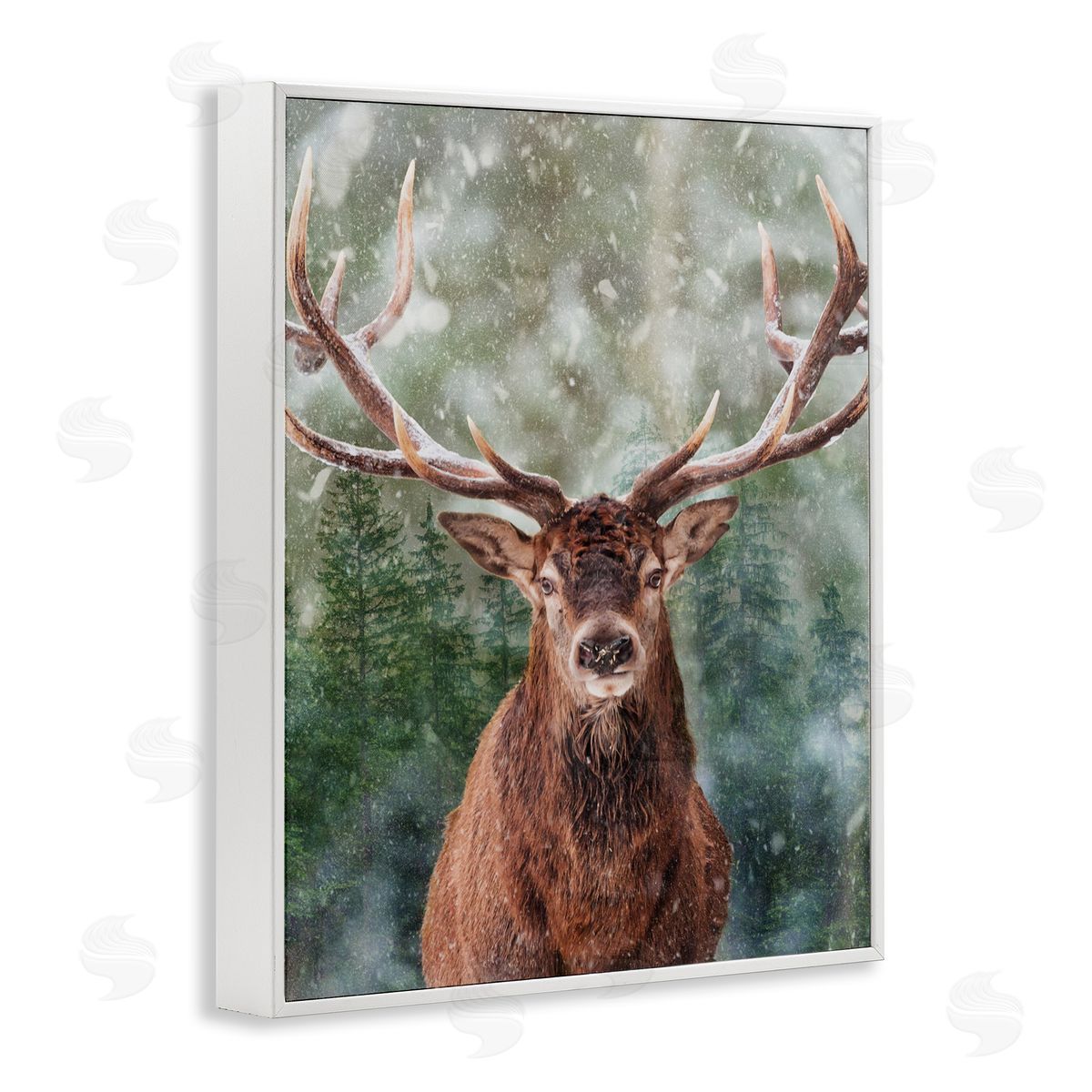 Marcus Prime | Woodland Forest Deer