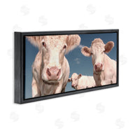 Marcus Prime | Three White Cows