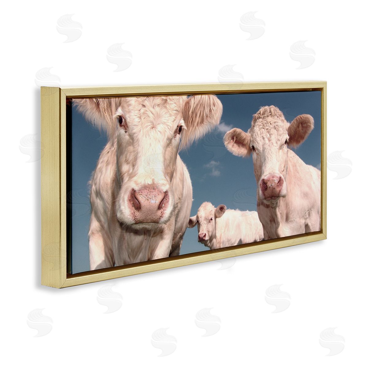 Three White Cows Gold Floating Frame Canvas Wall Art, Home Decor by Marcus Prime