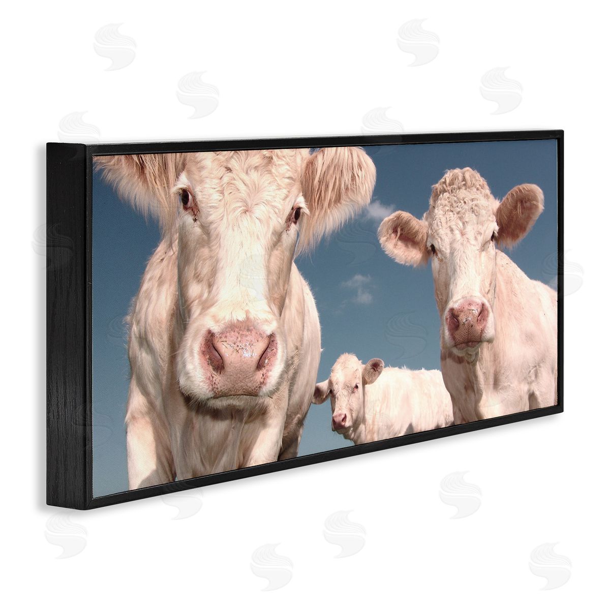 Three White Cows Black Frame Print Wall Art, Home Decor by Marcus Prime