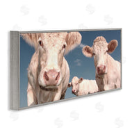 Marcus Prime | Three White Cows