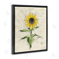 Julie Norkus | Vintage Sunflower Painting