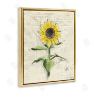 Julie Norkus | Vintage Sunflower Painting