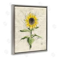 Julie Norkus | Vintage Sunflower Painting
