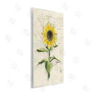 Julie Norkus | Vintage Sunflower Painting