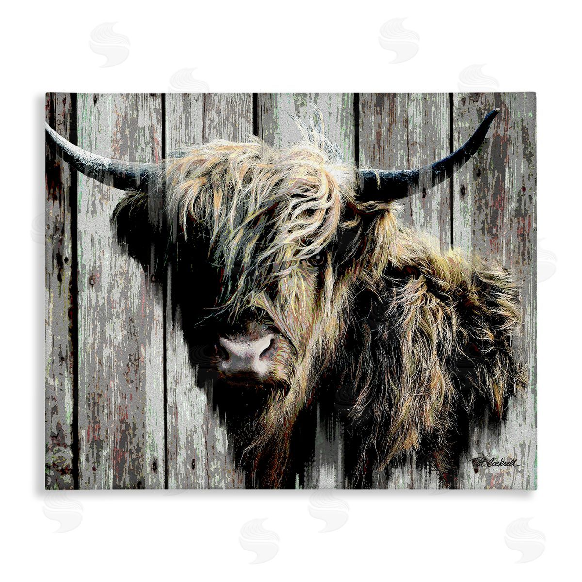 Pat Cockrell Rustic Cattle Portrait Canvas Wall Art
