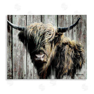 Pat Cockrell | Rustic Cattle Portrait