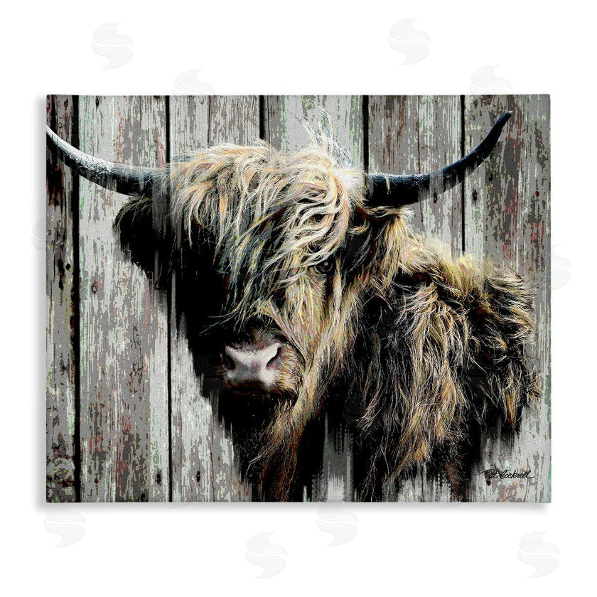 Pat Cockrell | Rustic Cattle Portrait