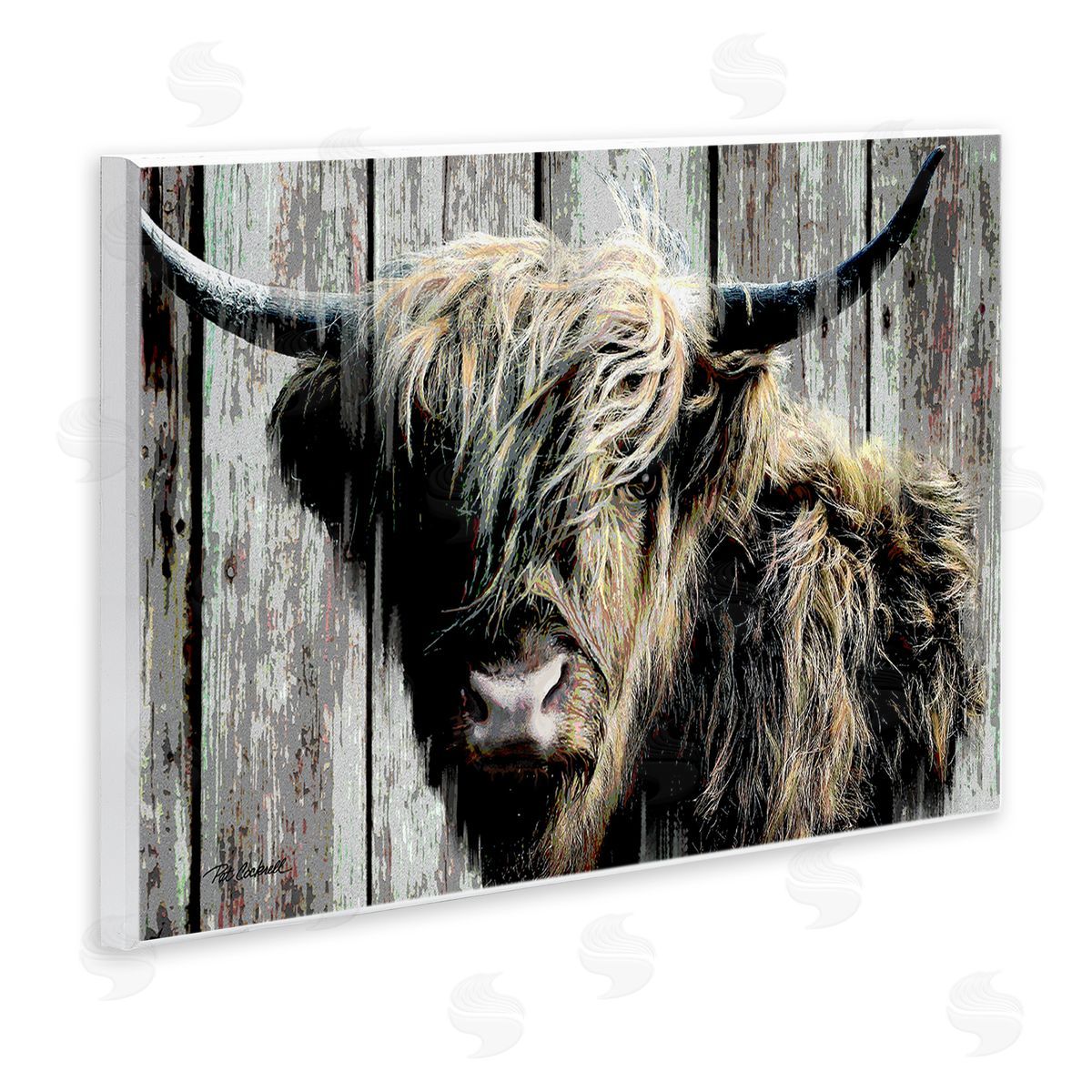 Pat Cockrell | Rustic Cattle Portrait