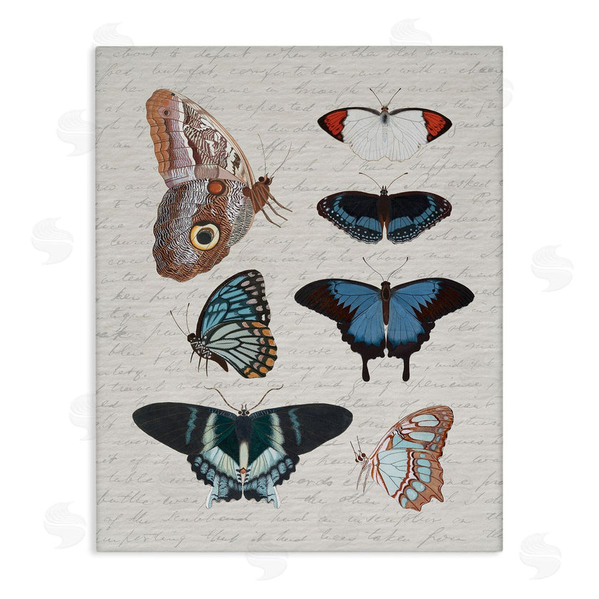 Stupell Studio | Various Vintage Butterflies