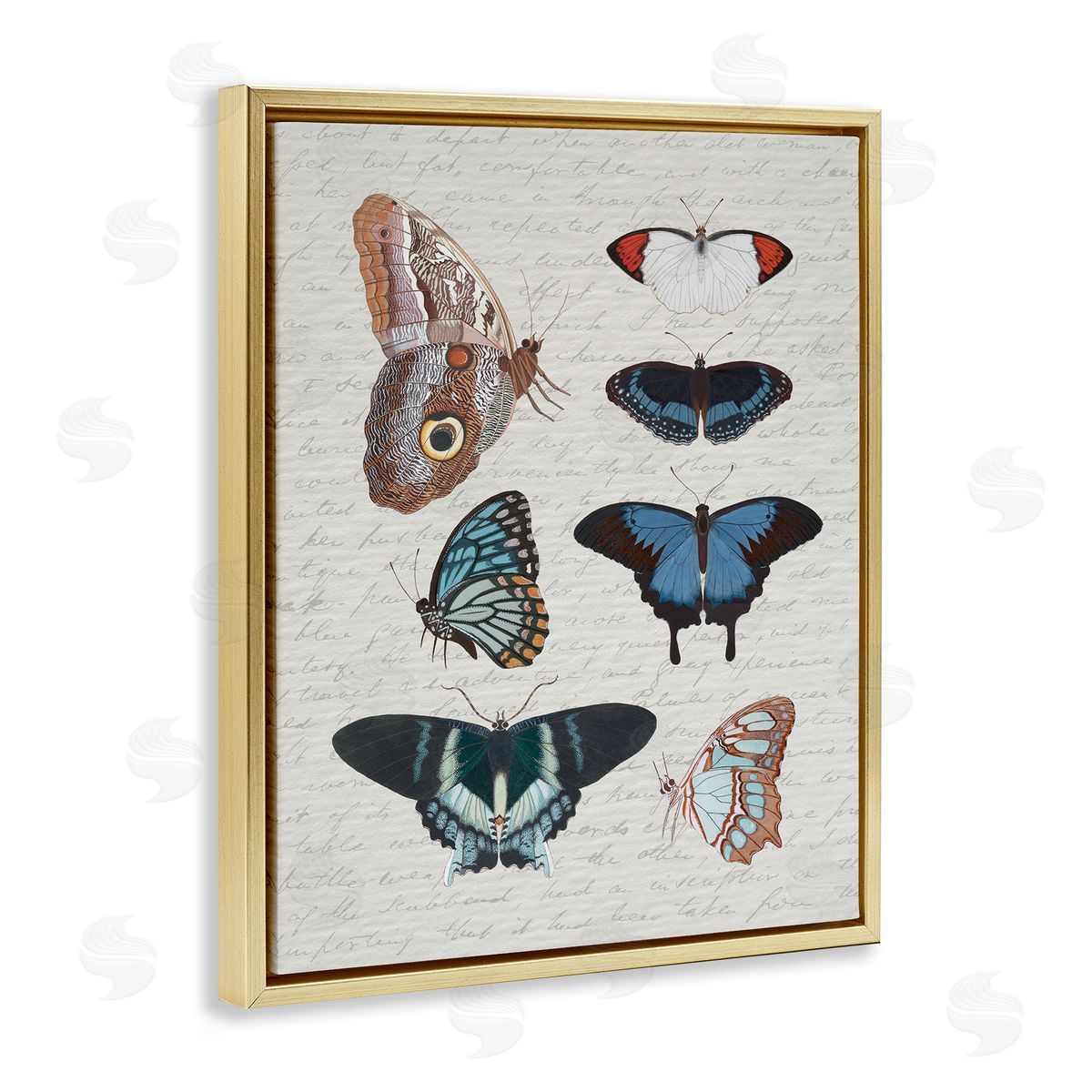 Stupell Studio | Various Vintage Butterflies
