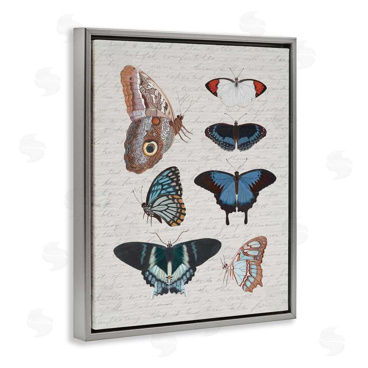 Stupell Studio Various Vintage Butterflies Gray Floater Frame Canvas Artside_