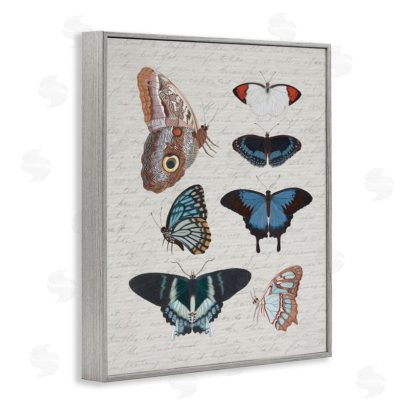 Stupell Studio | Various Vintage Butterflies