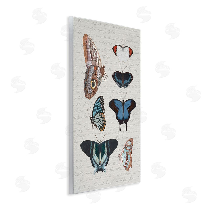 Stupell Studio | Various Vintage Butterflies