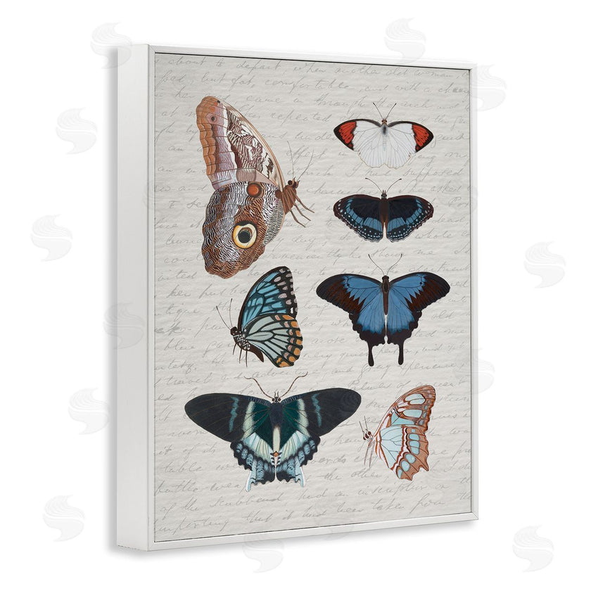 Stupell Studio | Various Vintage Butterflies