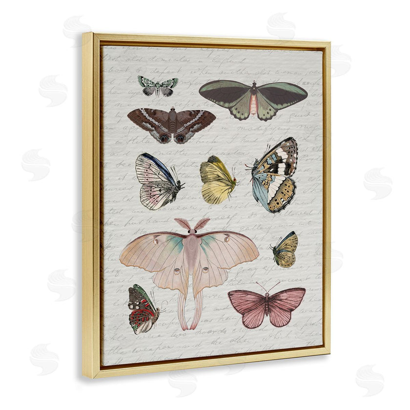 Stupell Studio | Moths & Butterflies Vintage