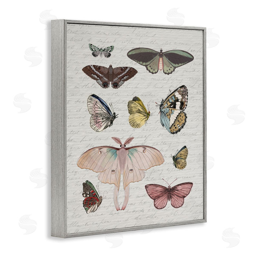 Stupell Studio | Moths & Butterflies Vintage