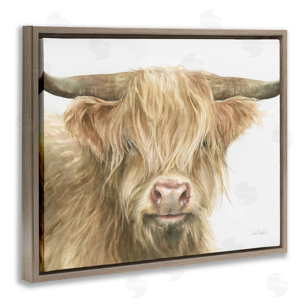 Leslie Trimbach | Longhorn Cattle Painting