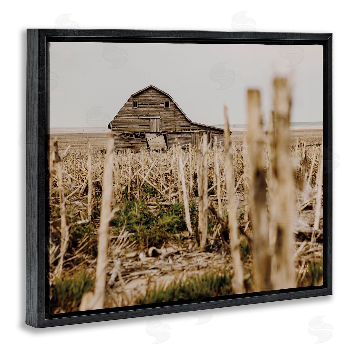 Nathan Larson Rustic Old Barn Black Floater Frame Canvas Artside_