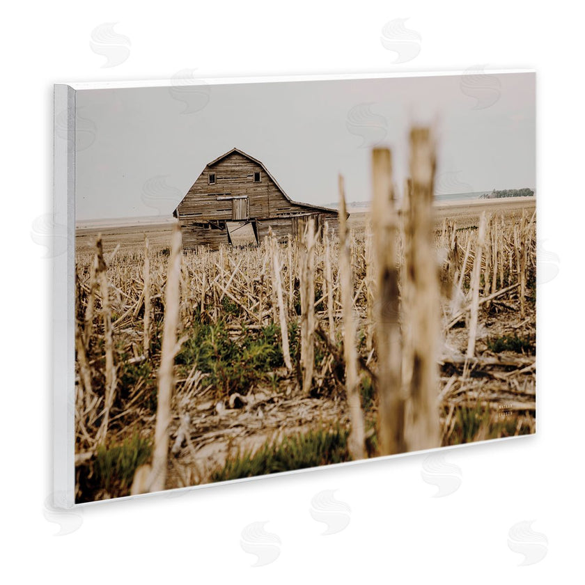 Nathan Larson | Rustic Old Barn