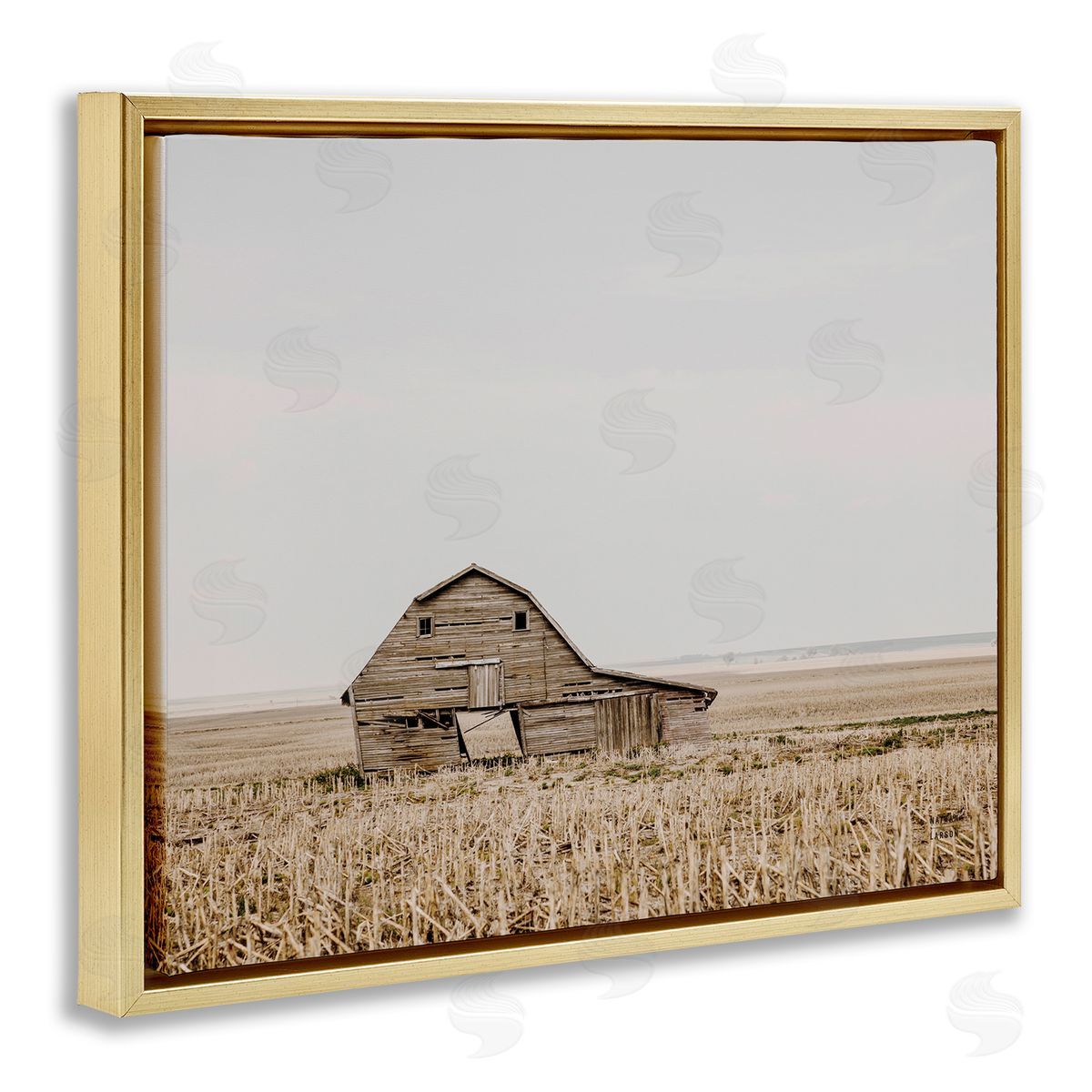 Nathan Larson Ranch Barn Photography Gold Floater Frame Canvas Artside_