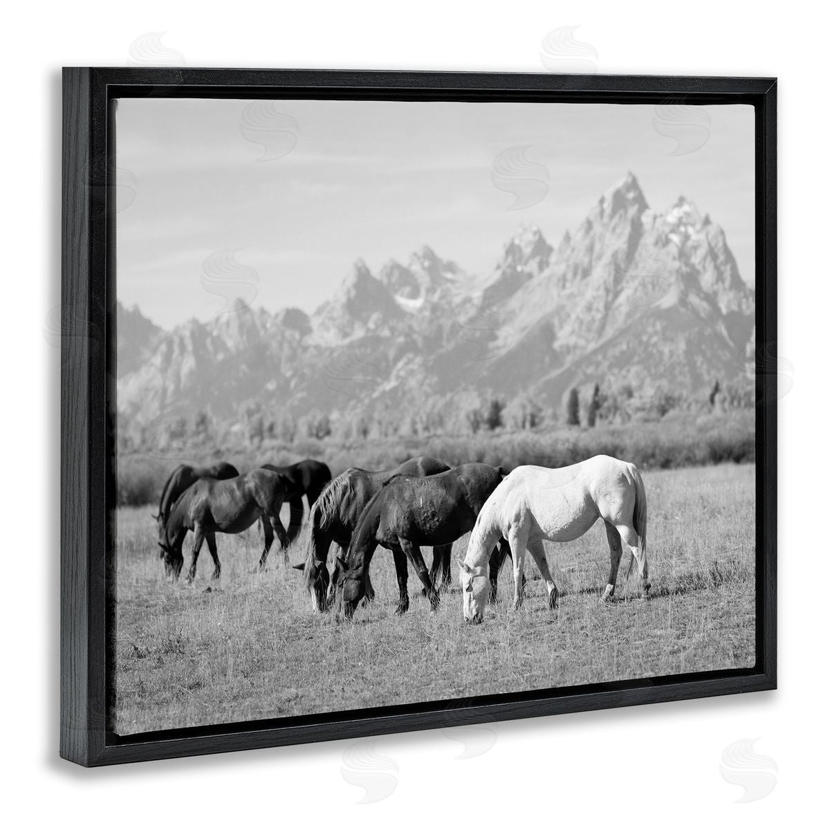 Daniel Sproul Horses Grazing by Mountains Black Floater Frame Canvas Artside_
