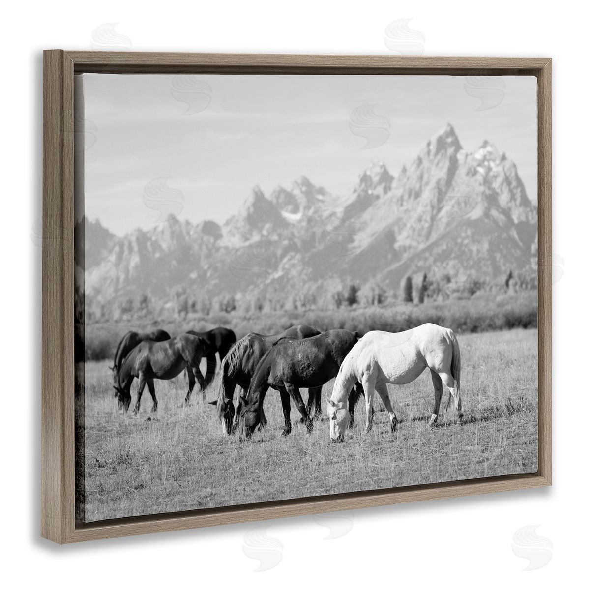 Daniel Sproul | Horses Grazing by Mountains