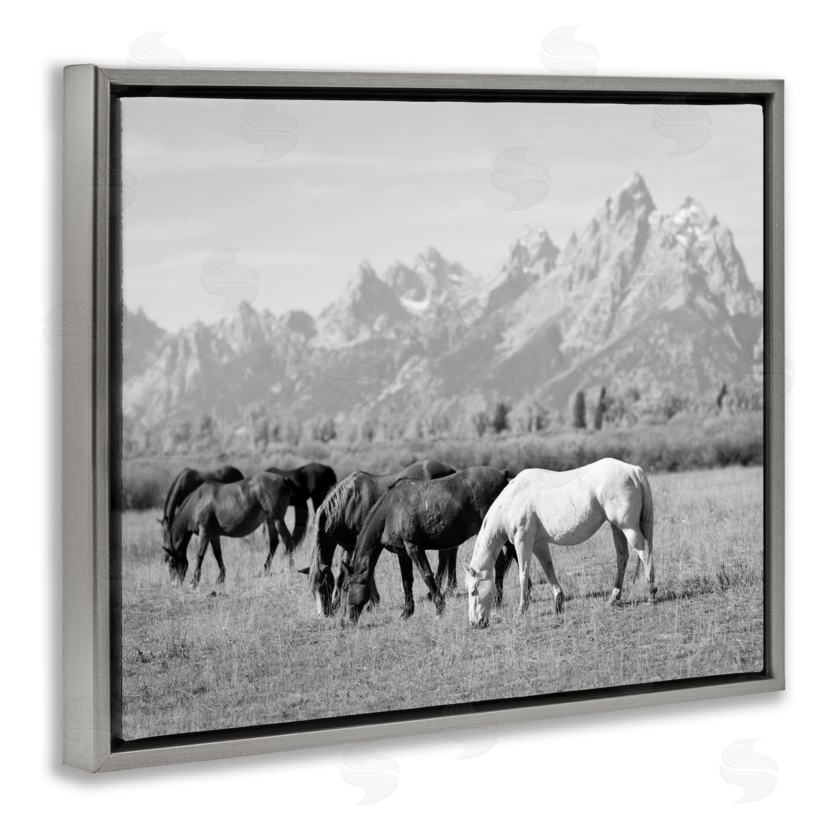 Daniel Sproul Horses Grazing by Mountains Gray Floater Frame Canvas Artside_