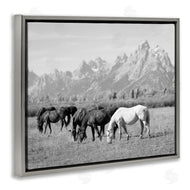 Daniel Sproul | Horses Grazing by Mountains